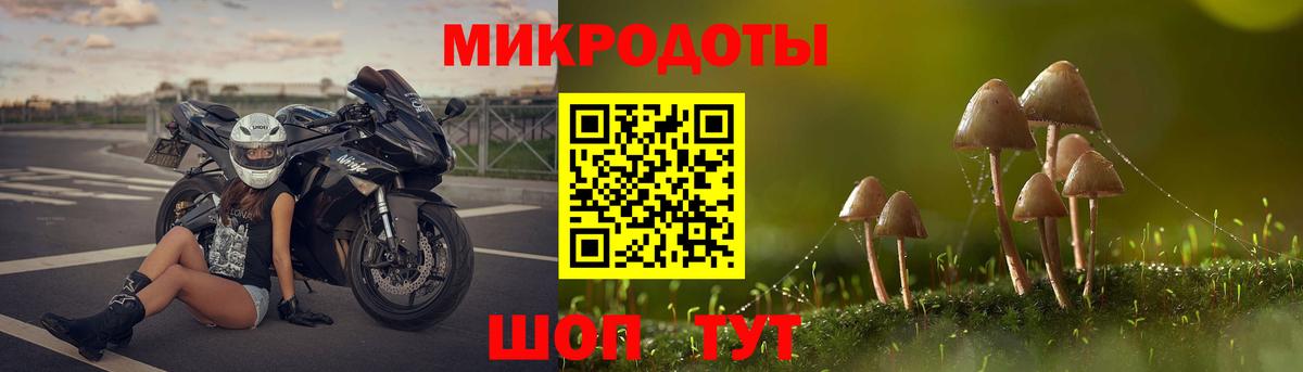 Псилоцибиновые грибы Psilocybine cubensis  Вход с VPN  Белогорск  что такое   Галлюциногенные грибы Cubensis 